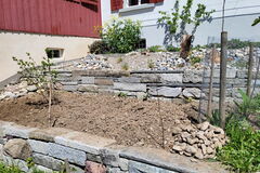 Unter dem Ruderalbeet entsteht eine Blumenwiese als Bienen- und Schmetterlingsbuffet