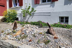 Das Ruderalbeet wurde mit Wildstauden bepflanzt