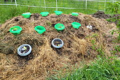 Altes Heu, das keiner frisst, dient als Hügelbeet für starkzehrende Pflanzen